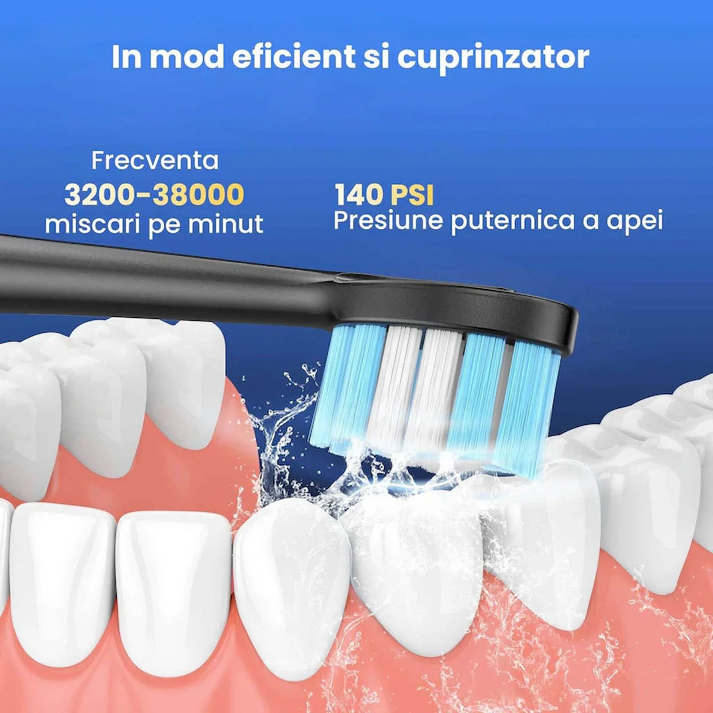 Dental Tartar Calculus Plaque Remover with Mouth Mirror